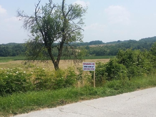 Парцел в Елена - 2000 кв.м за 7 €/кв.м - Снимка #1