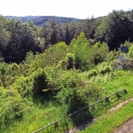 Земеделски имот в с. Яврово, Област Пловдив -  кв.м за 4590 €/дка - Снимка #1