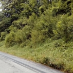 Парцел в Априлци - 1953 кв.м за 11 €/кв.м - Снимка #1