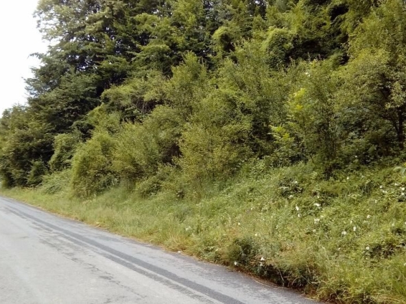 Парцел в Априлци - 1953 кв.м за 10 €/кв.м - Снимка #1