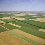 Земеделски имот в с. Осиковска Лакавица, Област София-област -  кв.м за 123 €/дка - Снимка #1