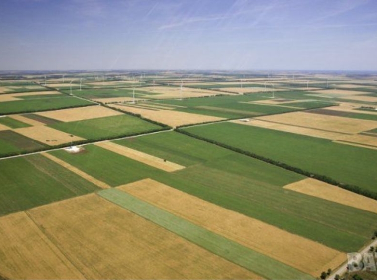 Земеделски имот в с. Осиковска Лакавица, Област София-област -  кв.м за 123 €/дка - Снимка #1