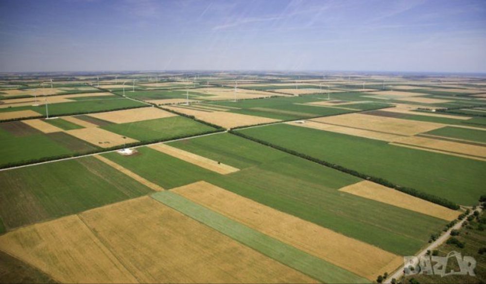 Земеделски имот в с. Осиковска Лакавица, Област София-област -  кв.м за 123 €/дка - Снимка #1