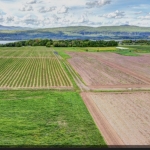 Земеделски имот в с. Крупен, Област Добрич -  кв.м за 22 €/дка - Снимка #1