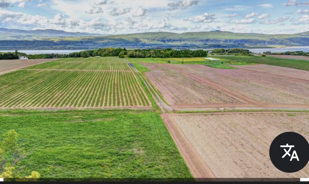 Земеделски имот в с. Крупен, Област Добрич -  кв.м за 22 €/дка - Снимка #1