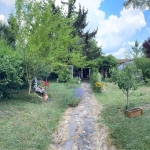 Къща в Търговище, Вилна зона - 33 кв.м за 712 €/кв.м - Снимка #1