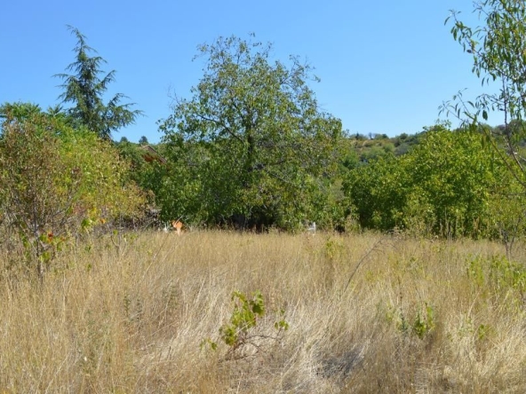 Парцел в Стара Загора, Загорка - 1500 кв.м за 40 €/кв.м - Снимка #1