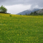 Земеделски имот в Бургас, Лазур -  кв.м за 77 €/дка - Снимка #1