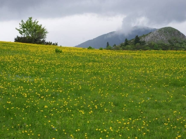 Земеделски имот в Бургас, Лазур -  кв.м за 77 €/дка - Снимка #1