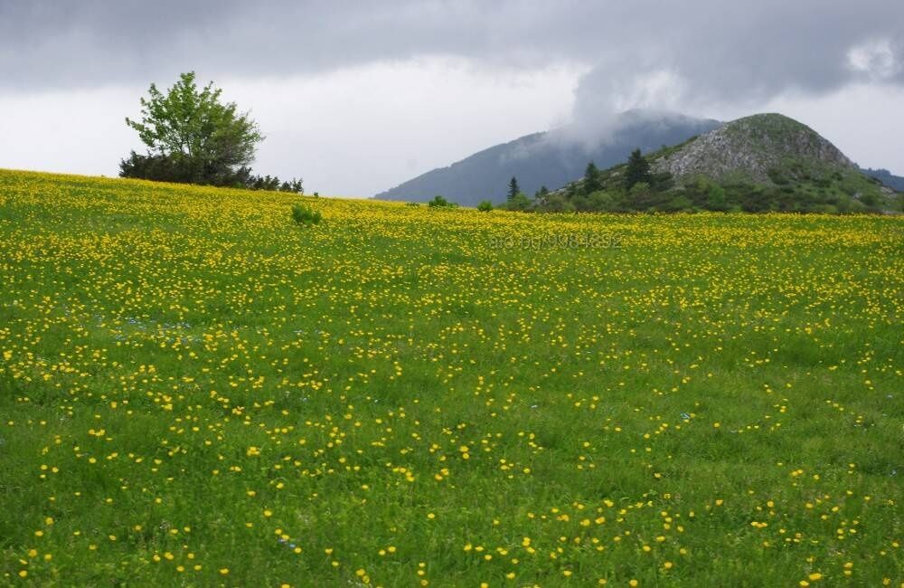 Земеделски имот в Бургас, Лазур -  кв.м за 77 €/дка - Снимка #1