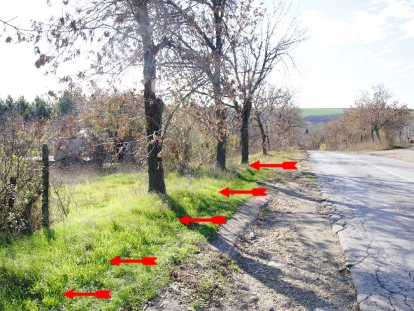 Парцел в с. Басарбово, Област Русе - 758 кв.м за 92 €/кв.м - Снимка #1