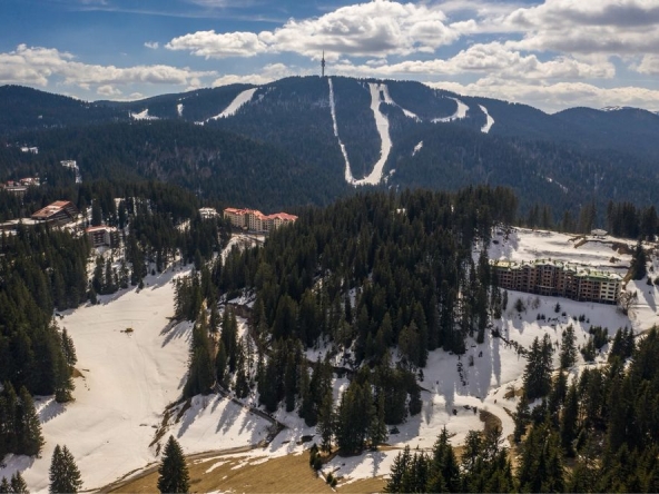 Парцел в София, Борово - 3800 кв.м за 49 €/кв.м - Снимка #1