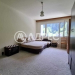 Едностаен апартамент в Чепеларе - 39 кв.м за 821 €/кв.м - Снимка #1