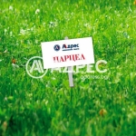 Парцел в с. Гецово, Област Разград - 539 кв.м за 81 €/кв.м - Снимка #1