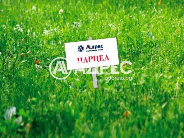 Парцел в с. Гецово, Област Разград - 539 кв.м за 81 €/кв.м - Снимка #1