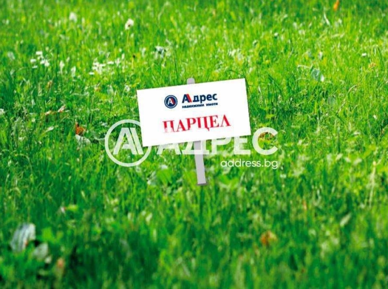 Парцел в с. Гецово, Област Разград - 539 кв.м за 81 €/кв.м - Снимка #1