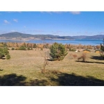 Парцел в Батак - 9309 кв.м за 2296 €/кв.м - Снимка #1