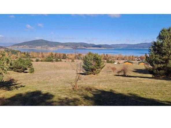 Парцел в Батак - 9309 кв.м за 2296 €/кв.м - Снимка #1