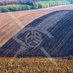 Парцел в с. Царацово, Област Пловдив - 7150 кв.м за 8 €/кв.м - Снимка #1