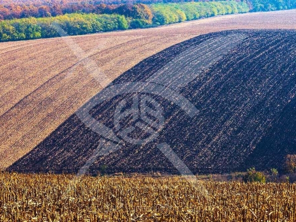 Парцел в с. Царацово, Област Пловдив - 7150 кв.м за 8 €/кв.м - Снимка #1