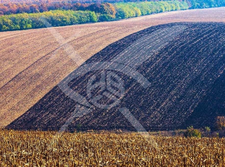 Парцел в с. Царацово, Област Пловдив - 7150 кв.м за 8 €/кв.м - Снимка #1