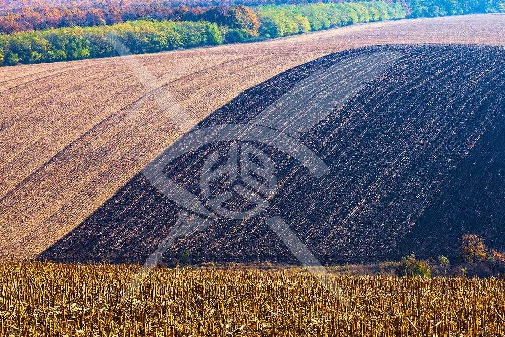 Парцел в с. Царацово, Област Пловдив - 7150 кв.м за 8 €/кв.м - Снимка #1