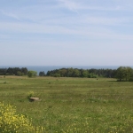 Парцел в Бяла - 1294 кв.м за 26 €/кв.м - Снимка #1