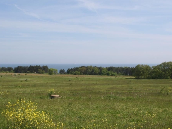 Парцел в Бяла - 1294 кв.м за 26 €/кв.м - Снимка #1