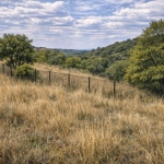 Парцел в с. Мало Бучино, Област София-град - 1022 кв.м за 13 €/кв.м - Снимка #1