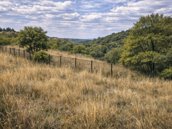 Парцел в с. Мало Бучино, Област София-град - 1022 кв.м за 13 €/кв.м - Снимка #1