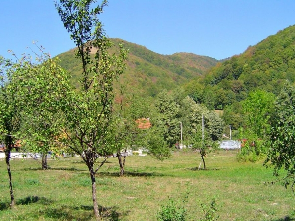 Парцел в с. Рибарица, Област Ловеч - 1052 кв.м за 38 €/кв.м - Снимка #1