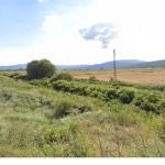 Парцел в с. Грозден, Област Бургас - 25000 кв.м за 1 €/кв.м - Снимка #1