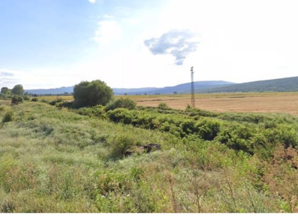 Парцел в Сунгурларе - 31000 кв.м за 1 €/кв.м - Снимка #1