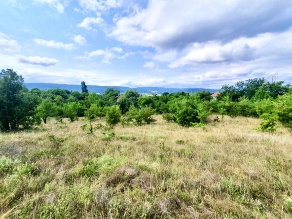 Парцел в с. Зая, Област Габрово - 1474 кв.м за 11 €/кв.м - Снимка #1