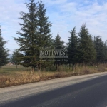 Парцел в Баня - 10000 кв.м за 5 €/кв.м - Снимка #1