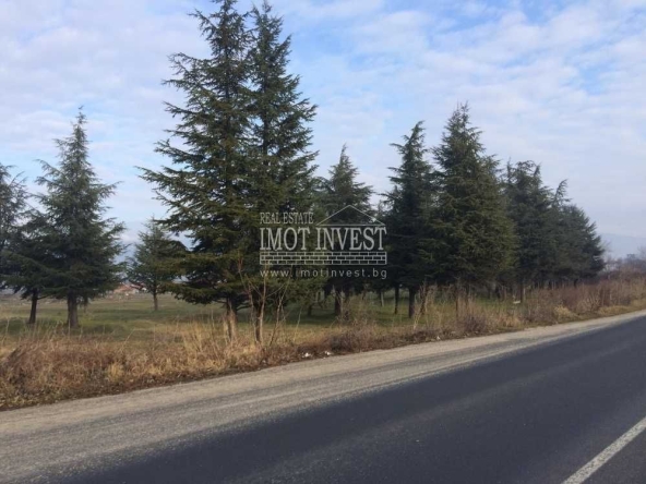 Парцел в Баня - 10000 кв.м за 5 €/кв.м - Снимка #1