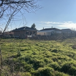 Парцел в с. Калипетрово, Област Силистра - 1000 кв.м за 12 €/кв.м - Снимка #1