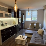 Дава се под наем Тристаен апартамент в Плевен, Широк център - 82 кв.м за 408 € - Снимка #1