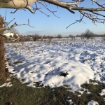 Парцел в с. Динк, Област Пловдив - 804 кв.м за 28 €/кв.м - Снимка #1