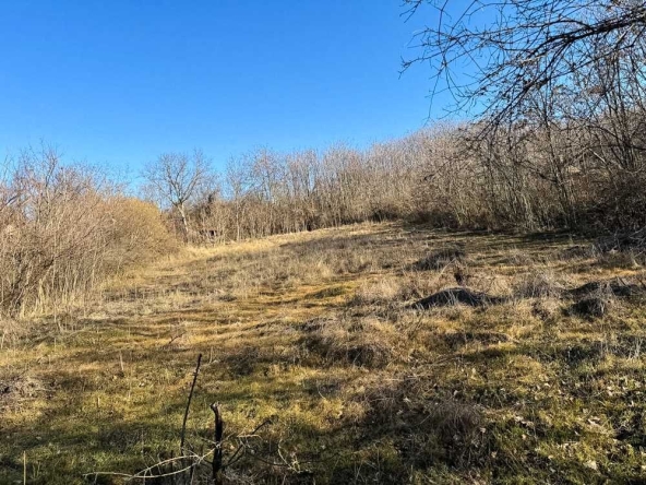 Парцел в Русе, Център - 1819 кв.м за 14 €/кв.м - Снимка #1