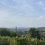 Парцел в с. Калипетрово, Област Силистра - 2000 кв.м за 6 €/кв.м - Снимка #1