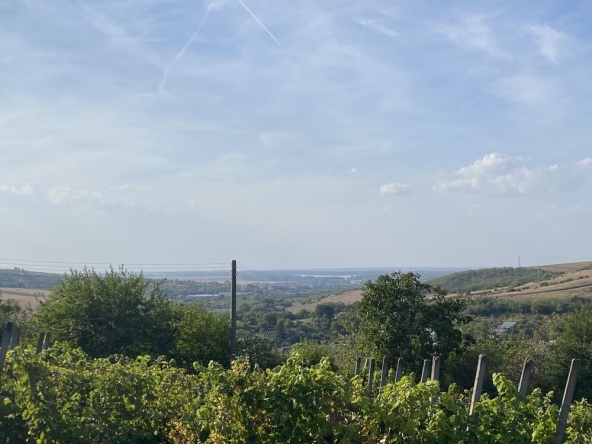 Парцел в с. Калипетрово, Област Силистра - 2000 кв.м за 6 €/кв.м - Снимка #1