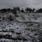 Парцел в Кубрат - 1100 кв.м за 6 €/кв.м - Снимка #1