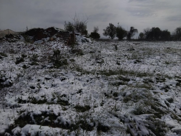 Парцел в Кубрат - 1100 кв.м за 6 €/кв.м - Снимка #1