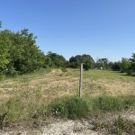 Парцел в с. Калипетрово, Област Силистра - 2100 кв.м за 14 €/кв.м - Снимка #1