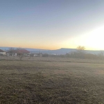 Парцел в Горна Оряховица - 2000 кв.м за 21 €/кв.м - Снимка #1