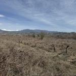 Земеделски имот в Сандански -  кв.м за 2500 €/дка - Снимка #1