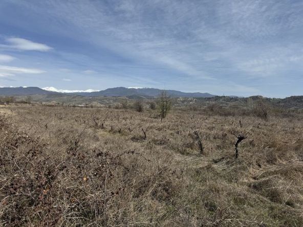 Земеделски имот в Сандански -  кв.м за 2500 €/дка - Снимка #1