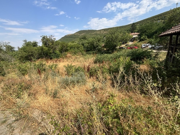 Парцел в Монтана, м-т Палековото - 1030 кв.м за 17 €/кв.м - Снимка #1