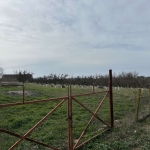 Парцел в с. Йорданово, Област Силистра - 2440 кв.м за 3 €/кв.м - Снимка #1